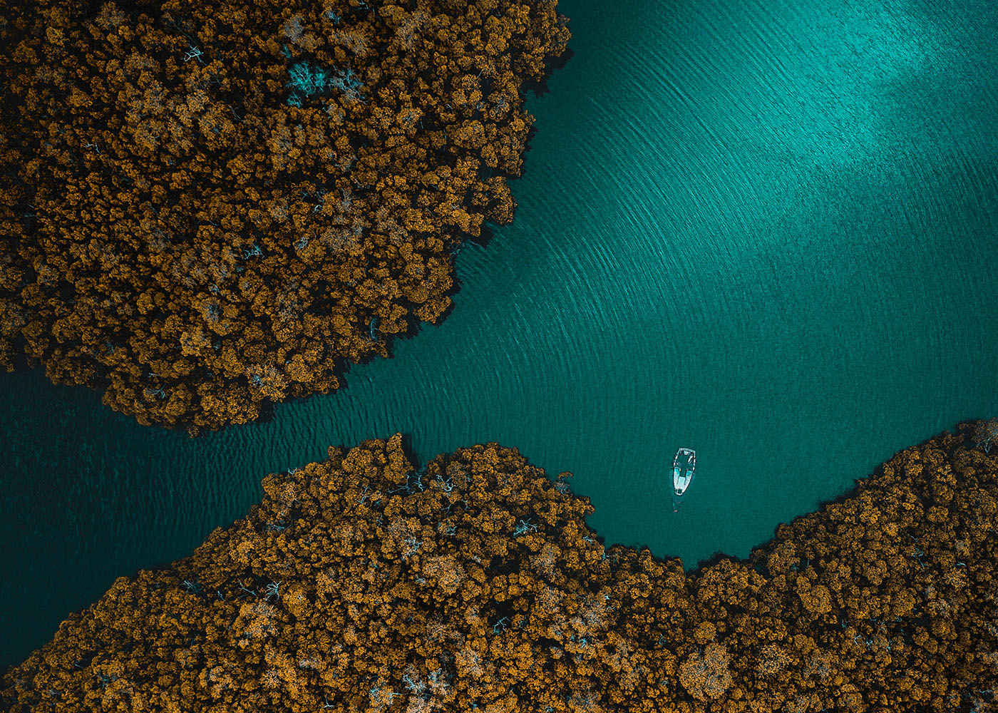 Validere_headers_short_0010_alex-perez-cX9cWyzsMbY-unsplash