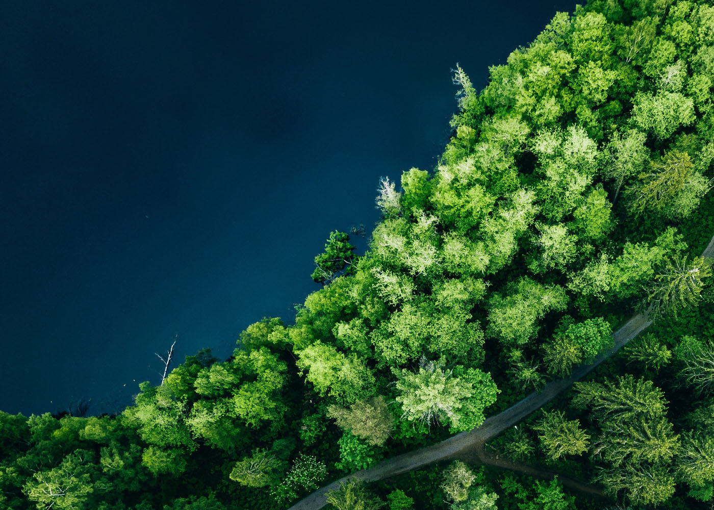 Validere_headers_short_0017_AdobeStock_274087352